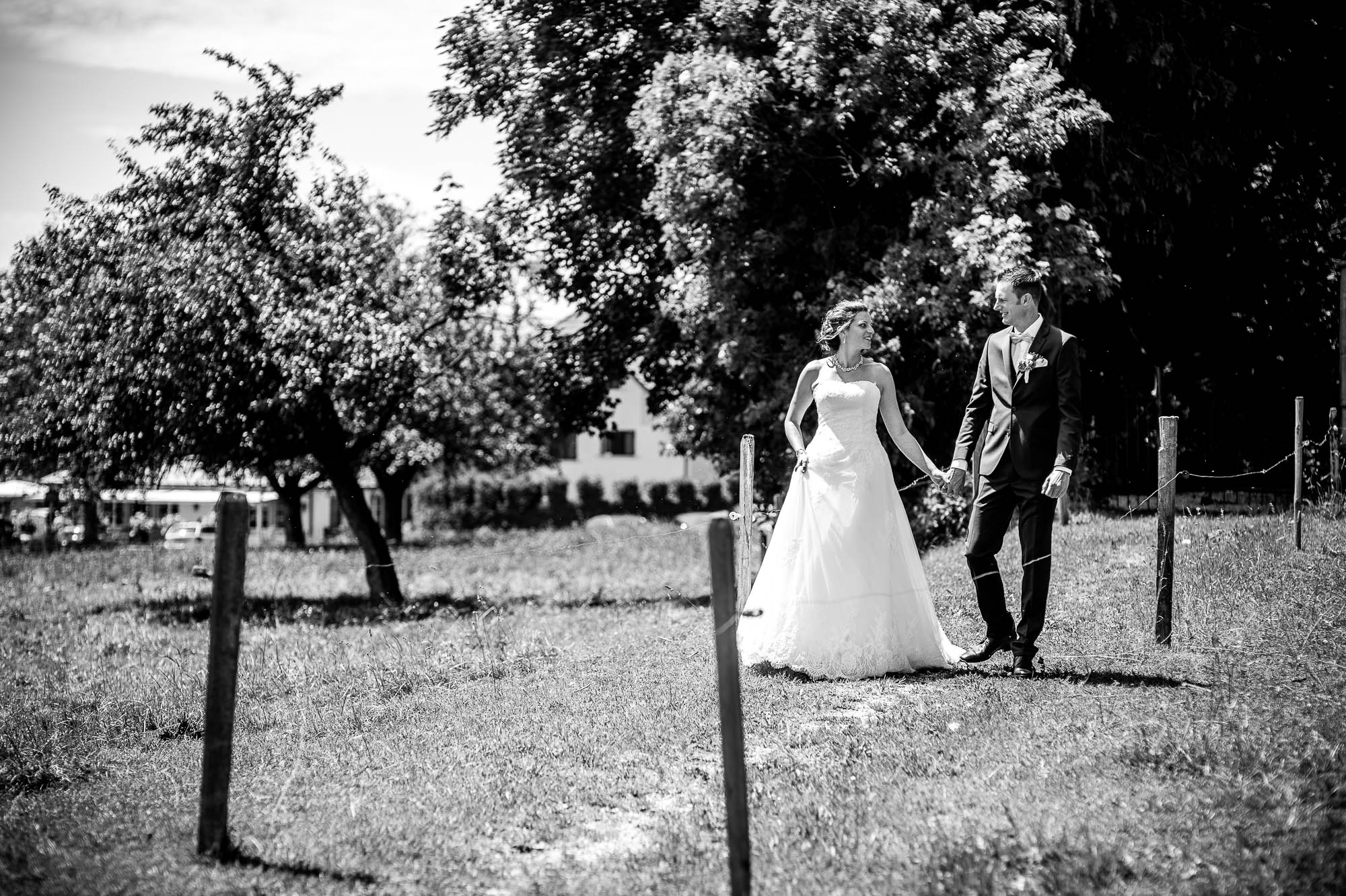 Export x3 1DX27548 Hochzeit 2020 Claudia & Marco 3